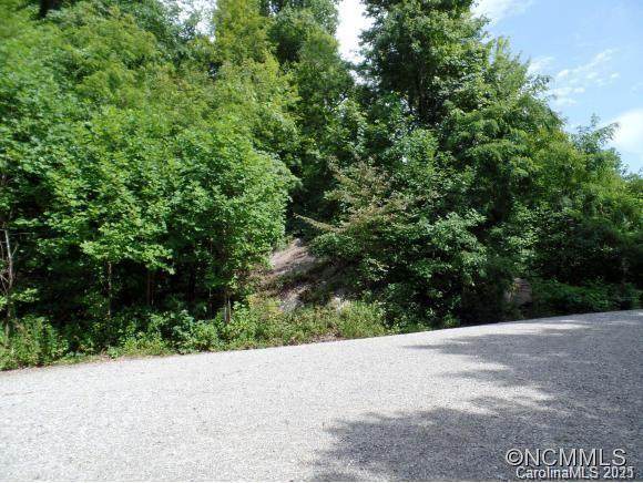 Lots 48 and 51 Eastatoe Gap Road - Photo 1