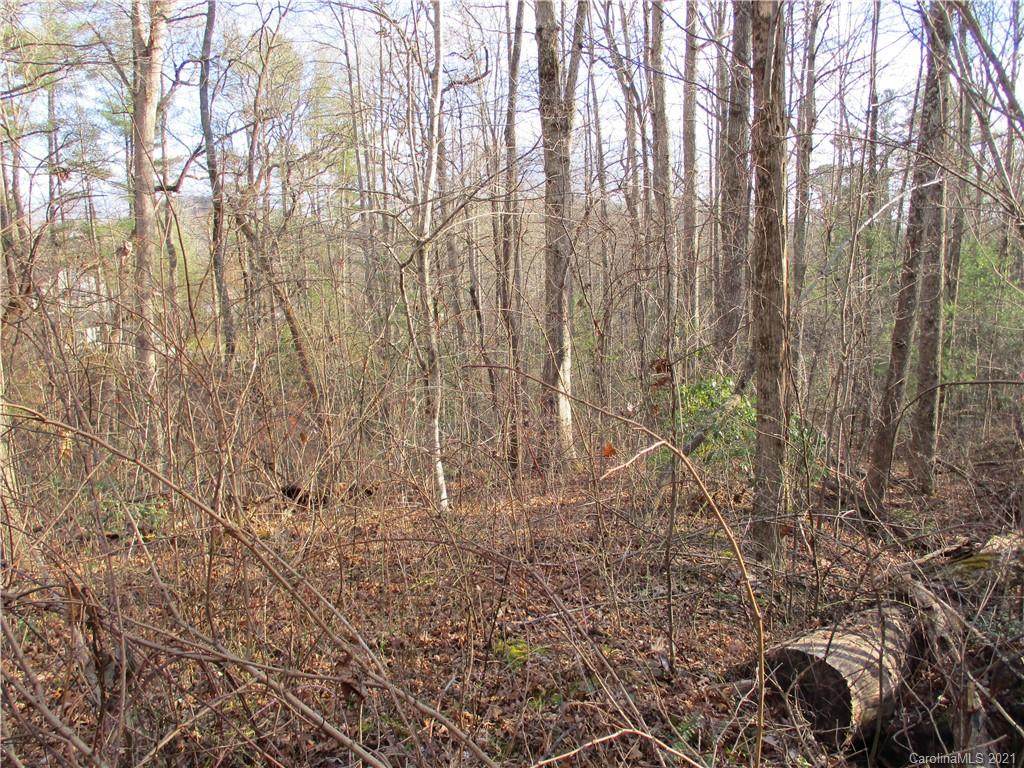 TBD Burge Mountain Road - Photo 1