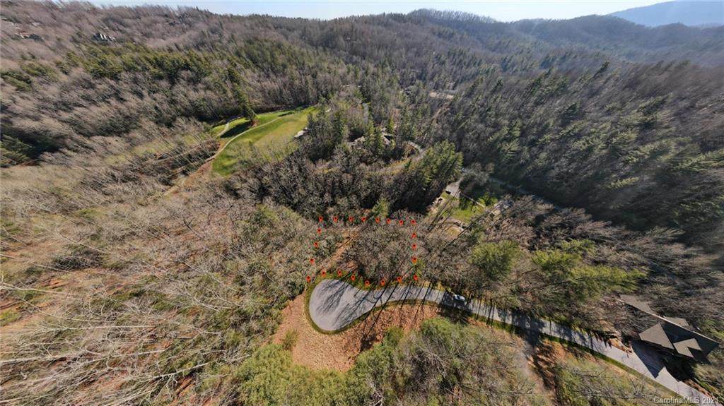 729 Black Gum Court - Photo 1