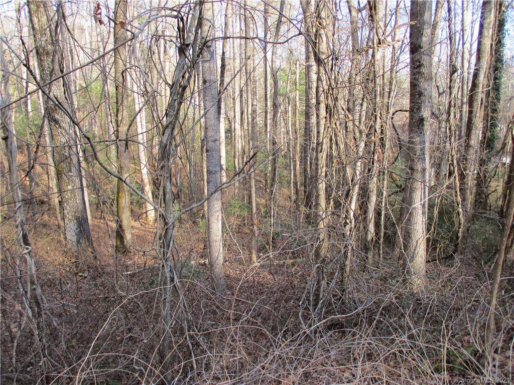 256 Burge Mountain Road - Photo 1
