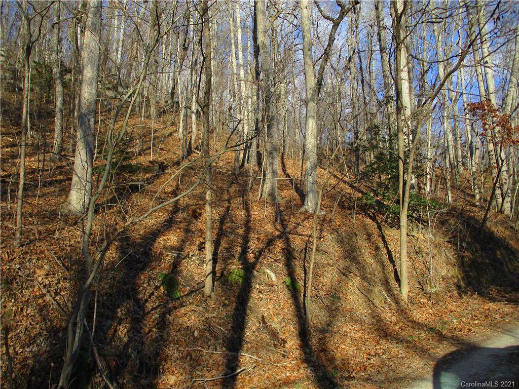 TBD Willow Bend Road - Photo 1