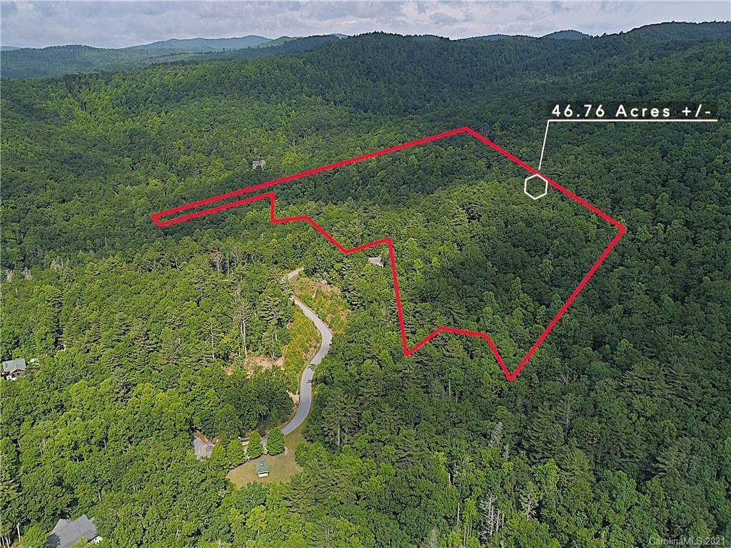 46 +/- Acres Old Mt Olivet Road - Photo 1
