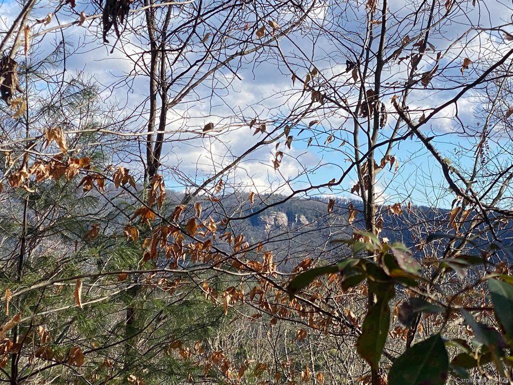 TBD High Point Trail - Photo 1