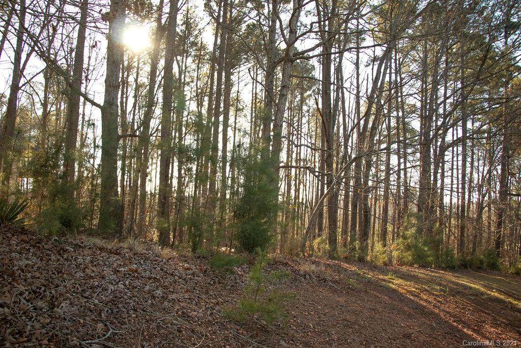 4000 Beechwood Spring Lane - Photo 1