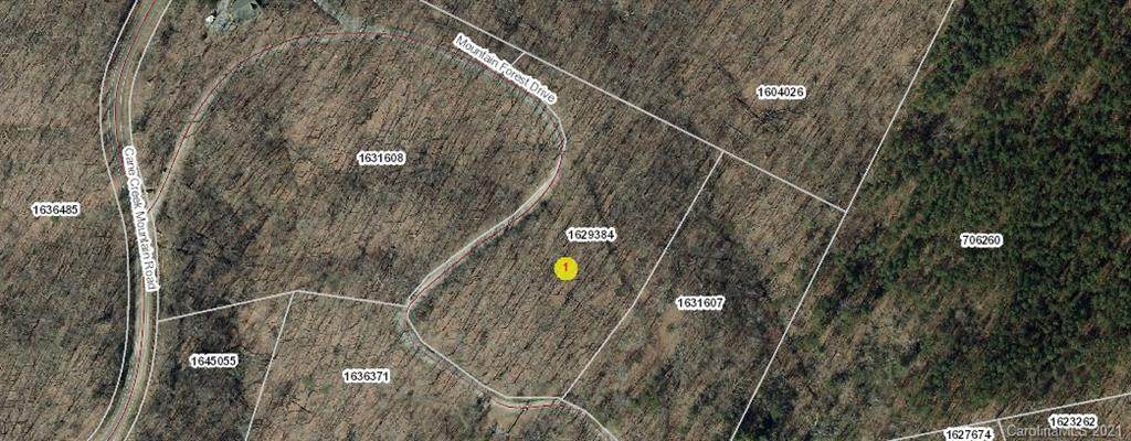 0 Cane Creek Mountain Road - Photo 1