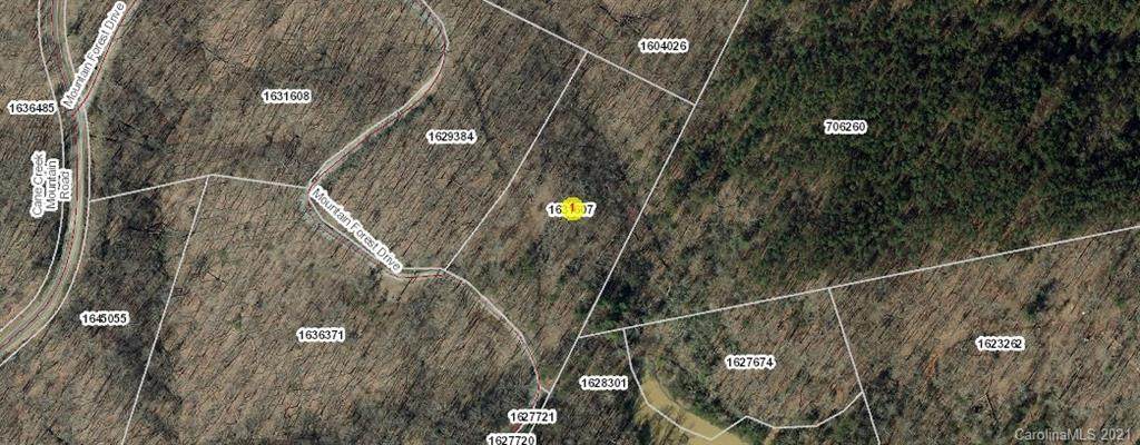 0 Cane Creek Mountain Road - Photo 1