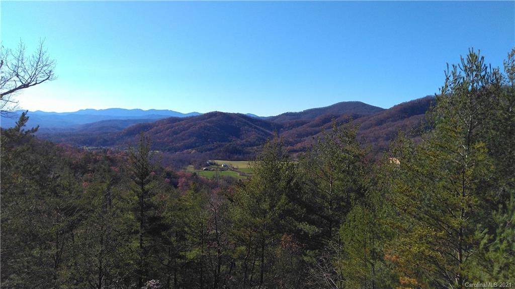 Lot 28 Fox Ridge Trail - Photo 1