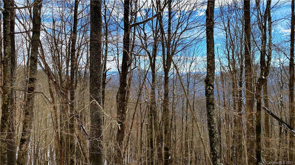 TBD Panther Knob Drive - Photo 1
