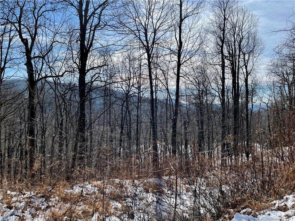 TBD Eastatoe Gap Road - Photo 1