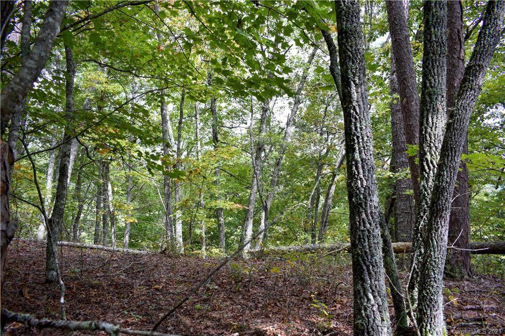 54 Overlook Ridge - Photo 1
