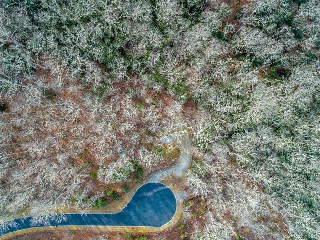 Lot 29 101 Buckhead Trail - Photo 1