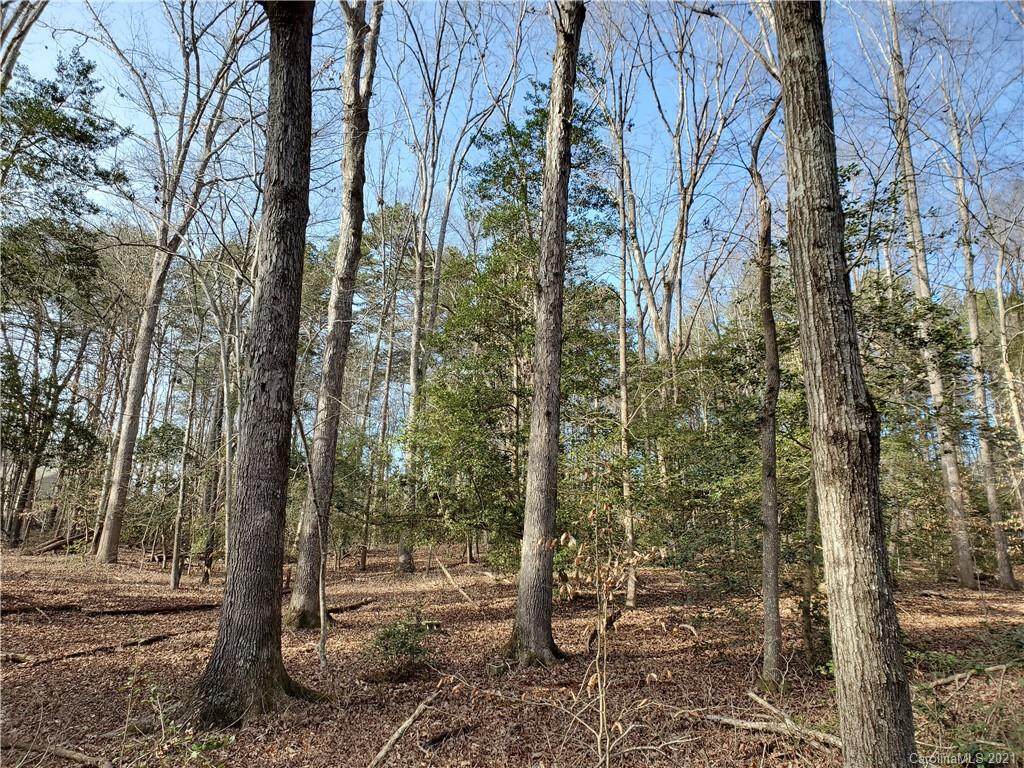 8281 Monbo Road - Photo 1