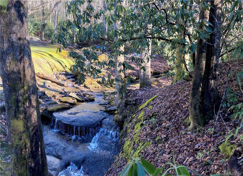 1.98 Acres Long Branch Road - Photo 1