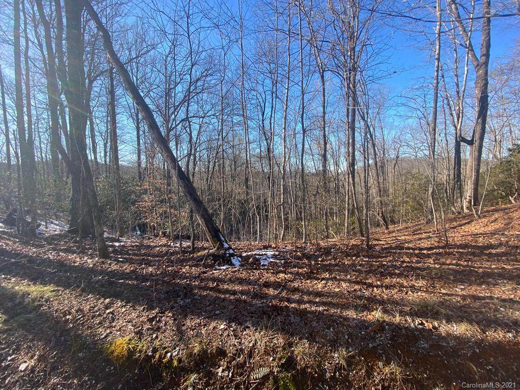 TBD Mocassin Trail - Photo 1