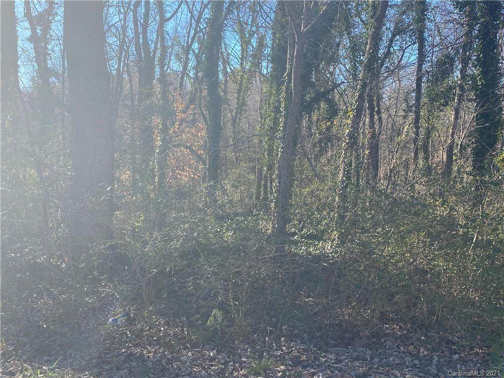 00 Log Cabin Drive - Photo 1