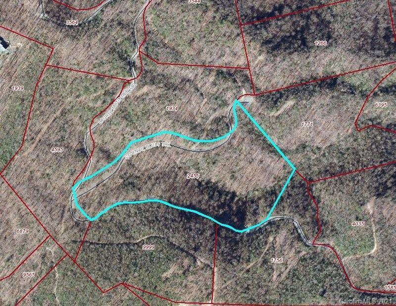 99999 Laurel Mountain Trail - Photo 1