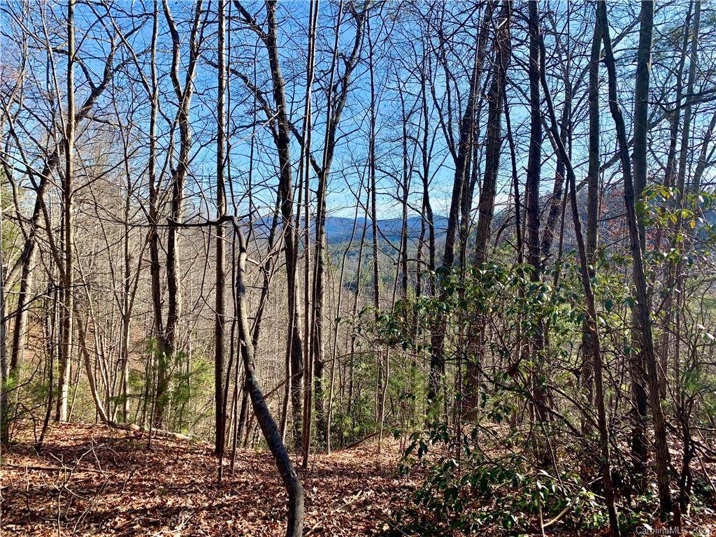 30 Acres Elk Creek Darby Road - Photo 1