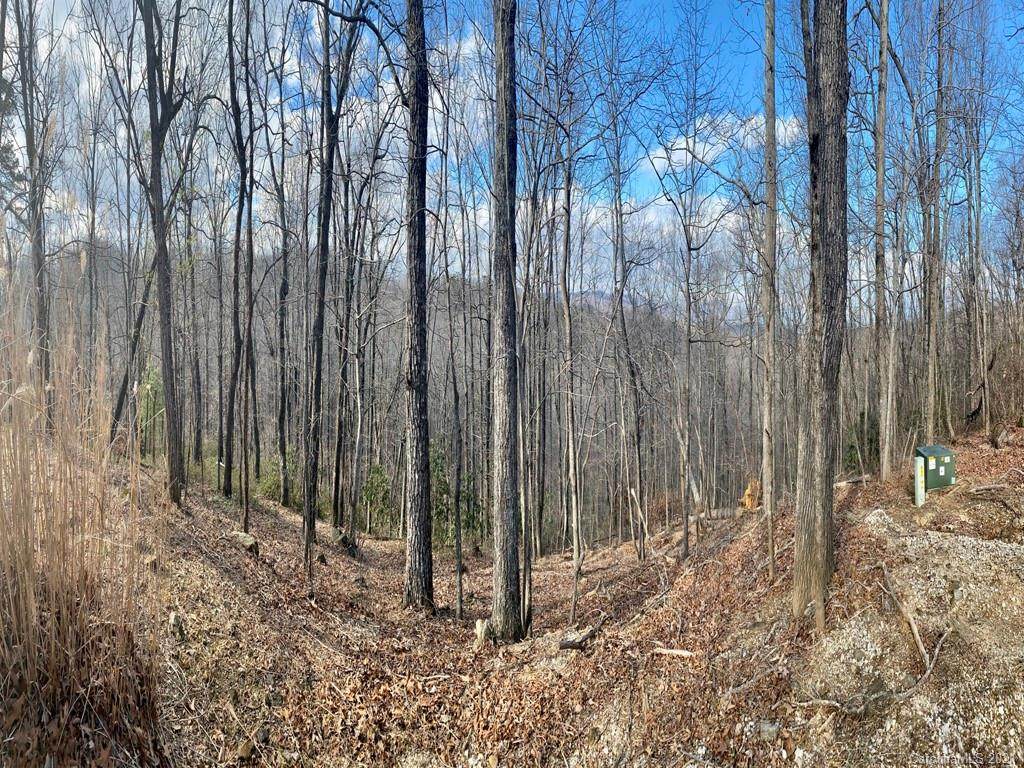 LOT 44 Table Rock Road - Photo 1
