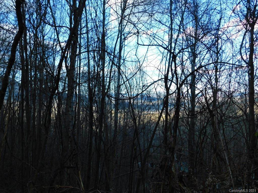 Lot 409 Kitty Lane - Photo 1