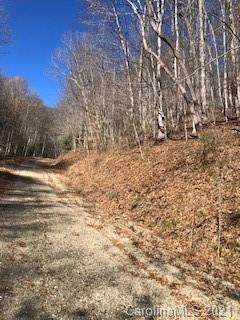 00 Bent Pine Road - Photo 1