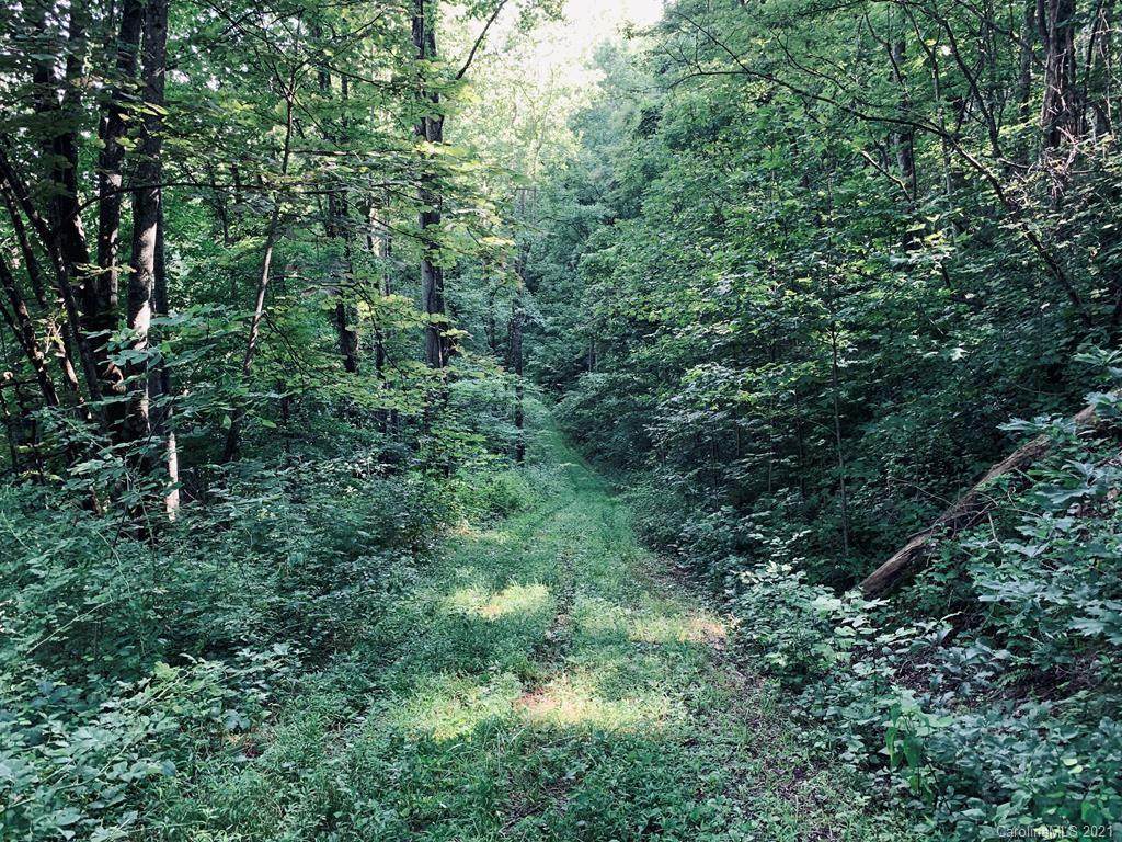 Lot 60 Tiger Tail Drive - Photo 1