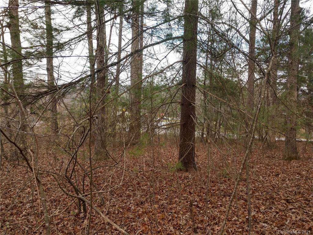 Lot#3 P/O Rural Retr Rural Retreat Drive - Photo 1