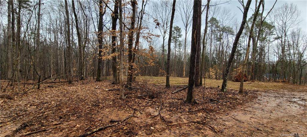 00 Birdsong Road - Photo 1