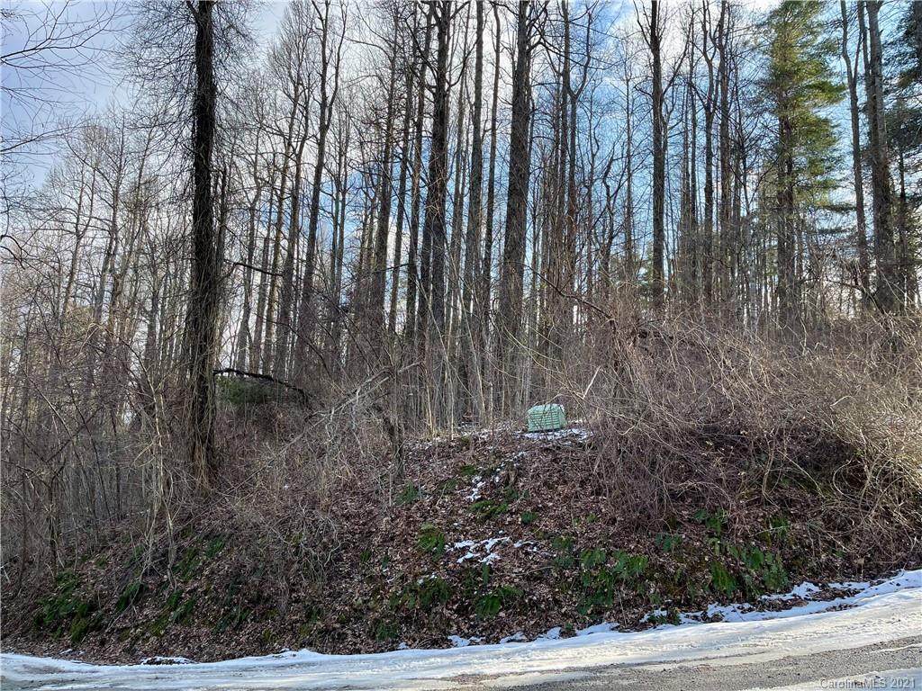 187 Mount Hebron Road - Photo 1