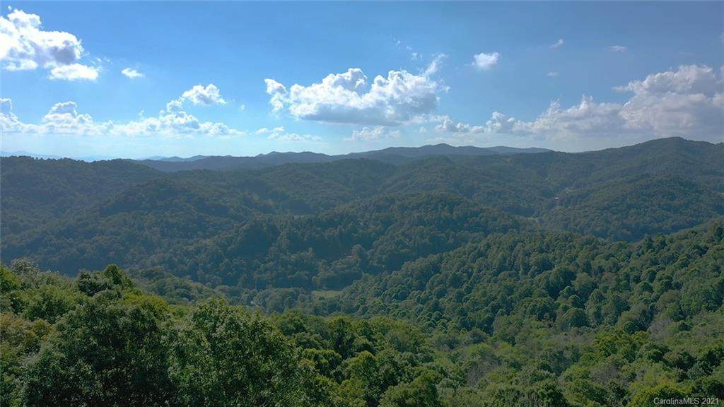 .75 Acres Wolf Ridge Road - Photo 1