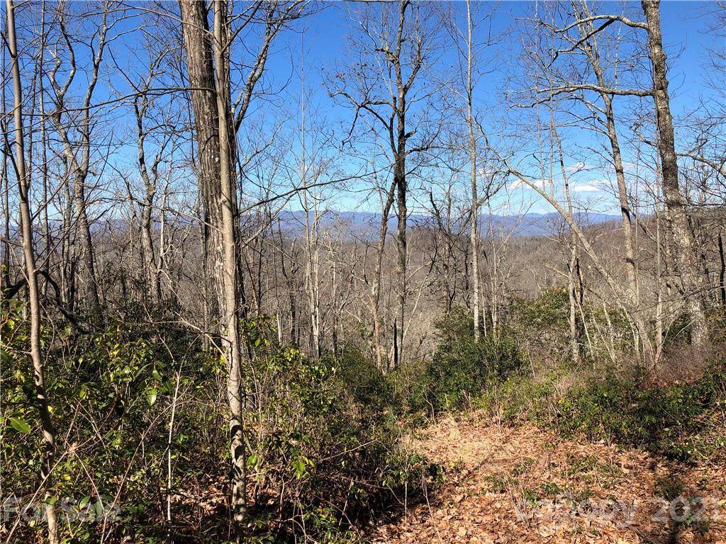 65 Indian Camp Mountain Road - Photo 1
