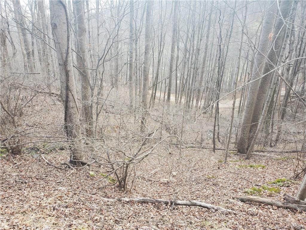TBD Spring Valley Road - Photo 1