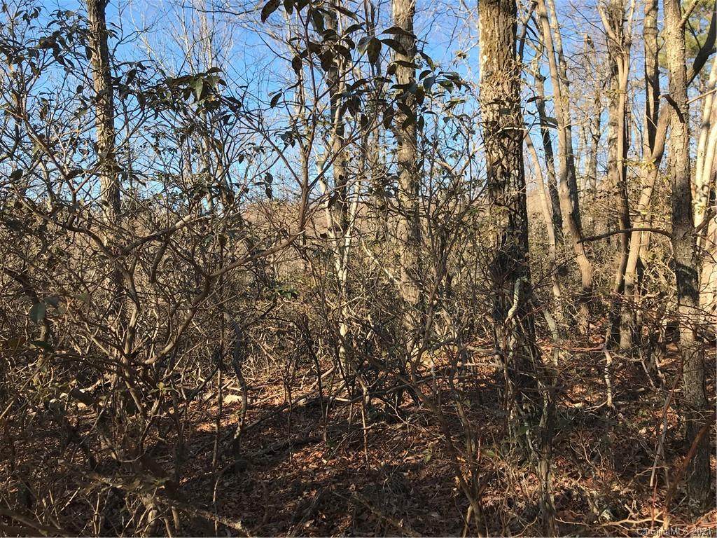 00 Arrowhead Trail - Photo 1