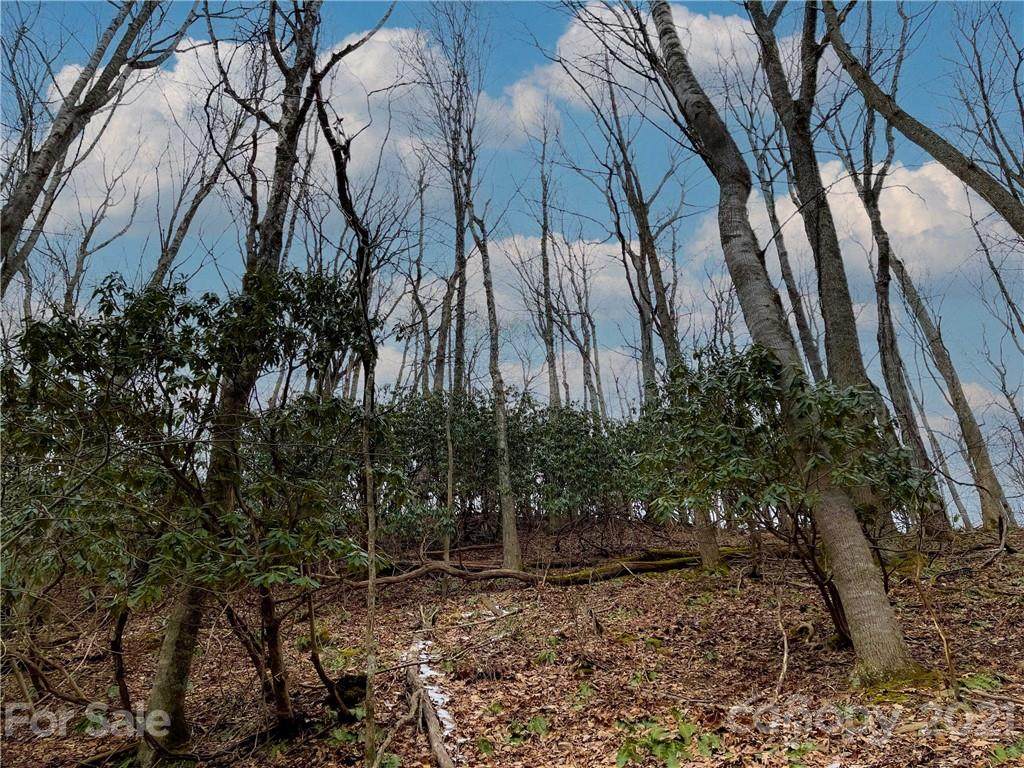 TBD Aaron Branch Road - Photo 1