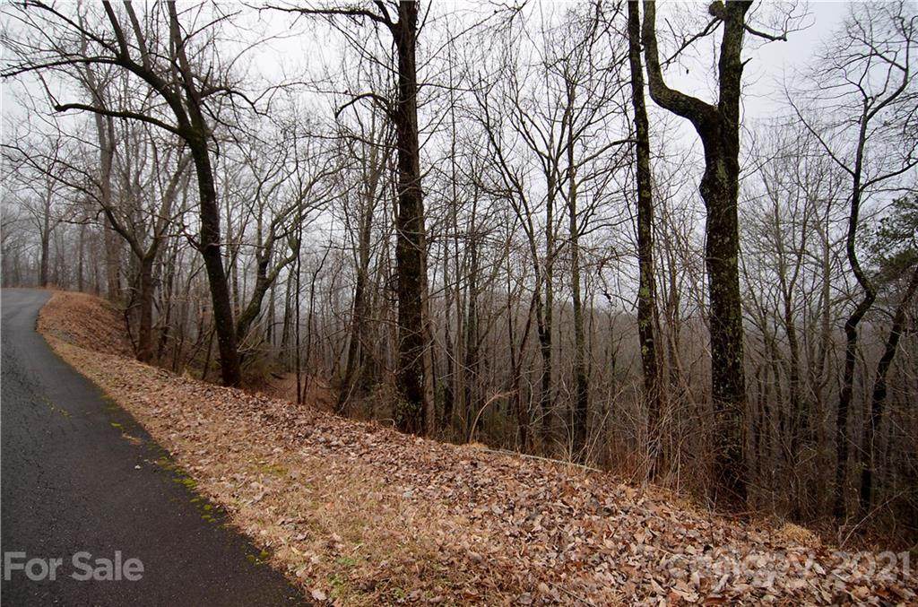 00 Mountain Crest Drive - Photo 1