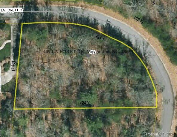 409 La Foret Drive - Photo 1