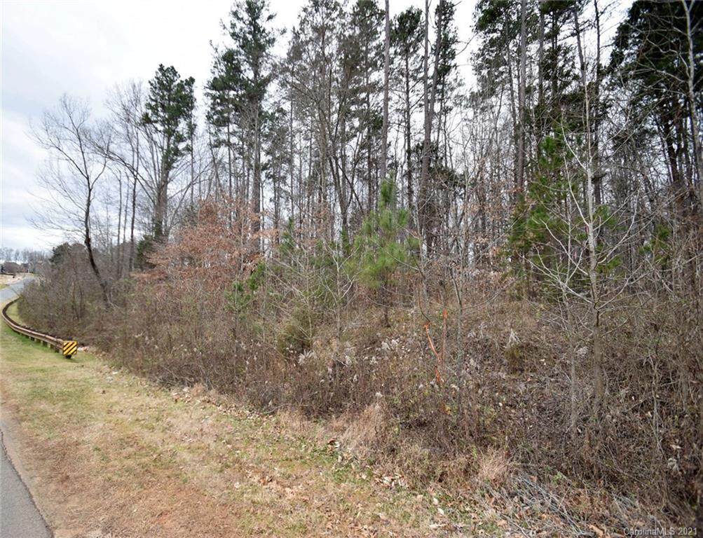 00 Minnie Lemmond Lane - Photo 1