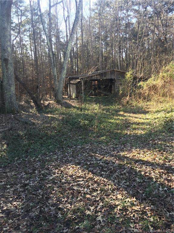 10575 Earnhardt Lake Road - Photo 1
