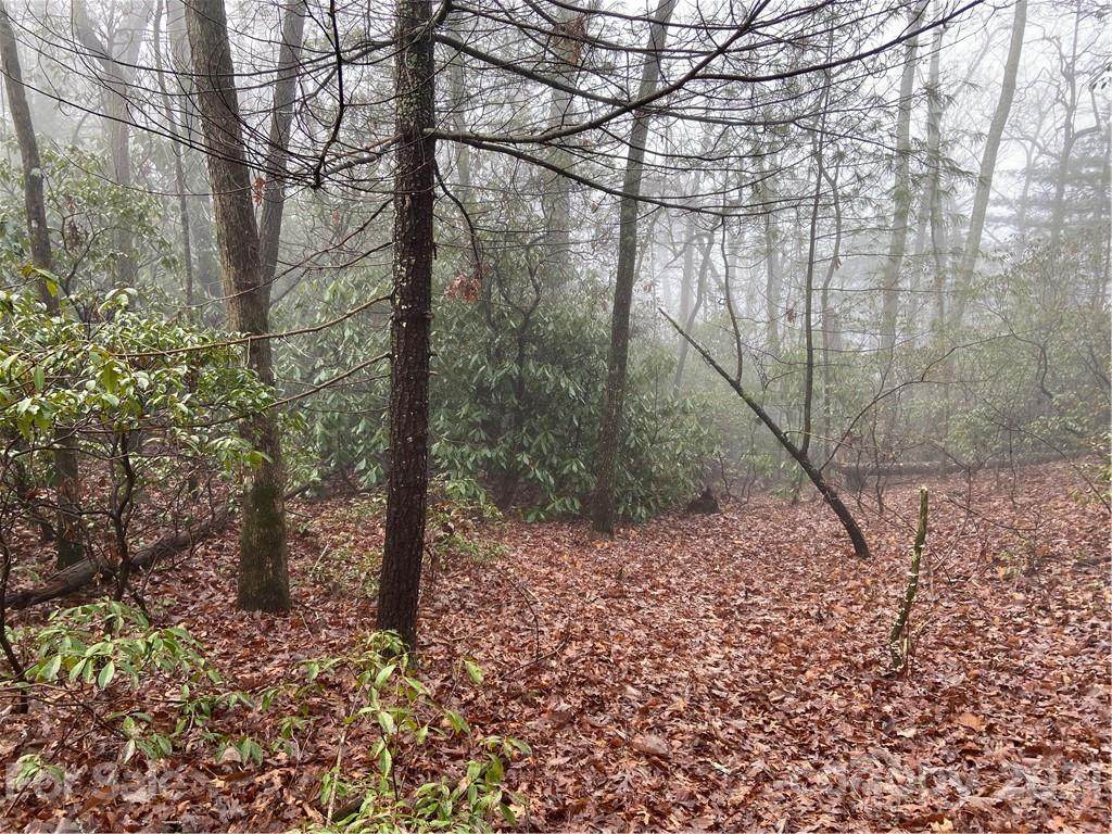 0 Huckleberry Mountain Road - Photo 1