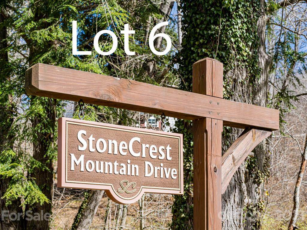 99999 Stone Crest Mountain Drive - Photo 1