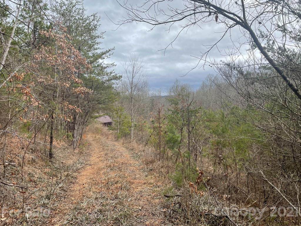 TBD Lackey Town Road - Photo 1