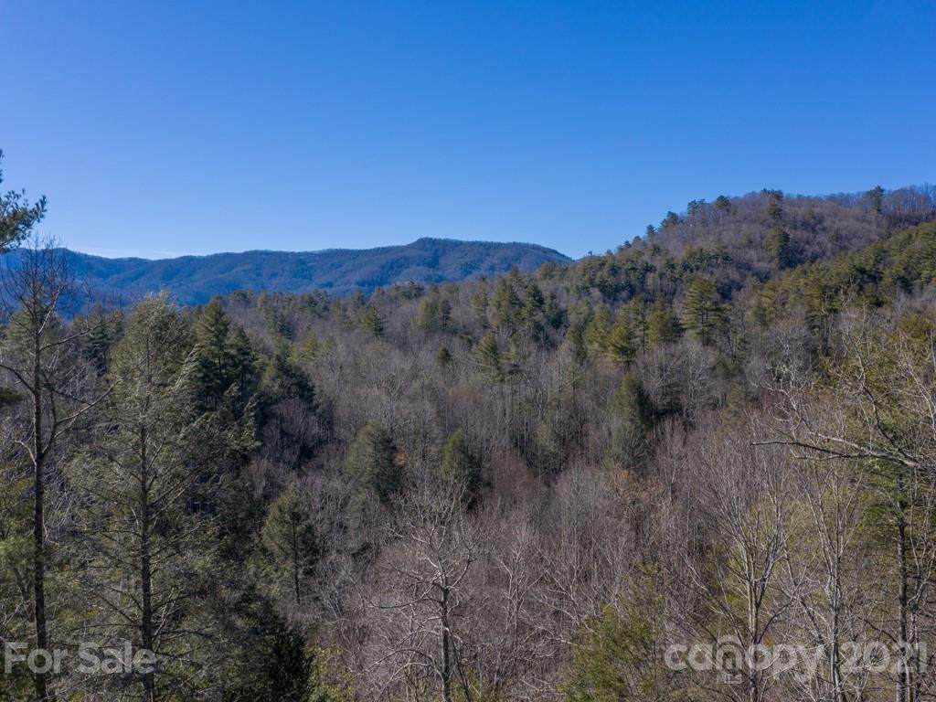 00 Shelton Laurel Road - Photo 1