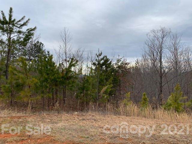 Lot 38 Grandview Peaks Drive - Photo 1