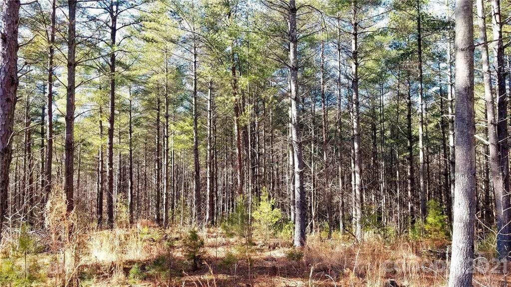 Lot 38 Frasier Fir Trail - Photo 1