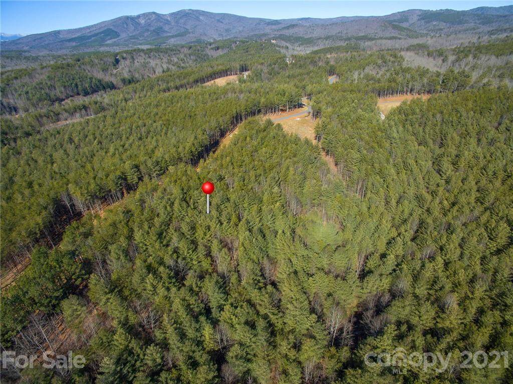 2413 Ivy Rays Way - Photo 1