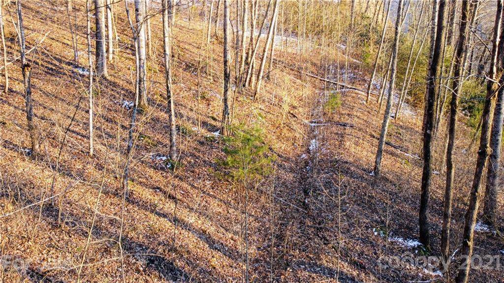 14 Trout Lily Lane - Photo 1