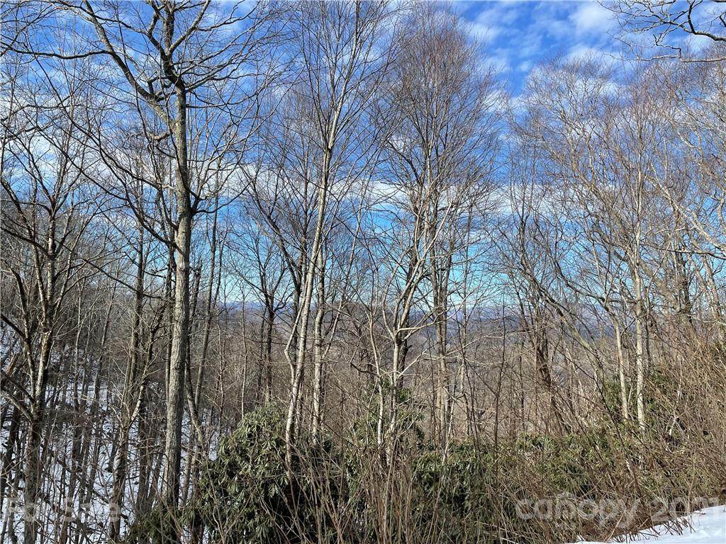 00 Arrowhead Ridge Road - Photo 1