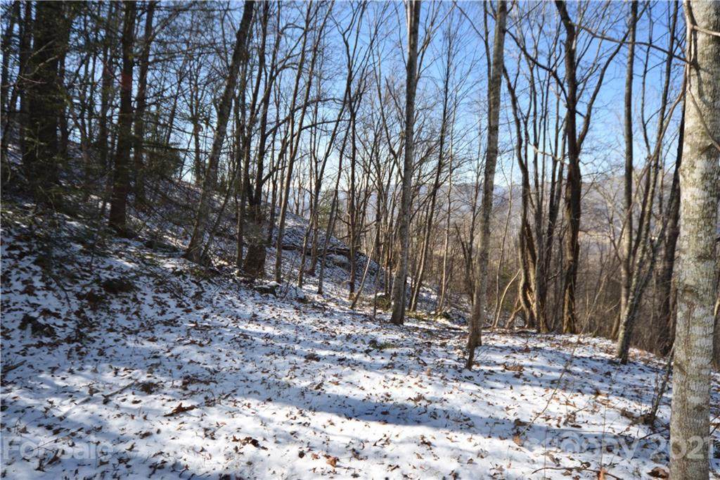 394 Aubrey Trail - Photo 1