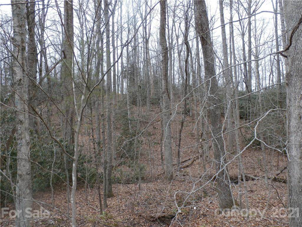 TBD Hwy 226 Highway - Photo 1