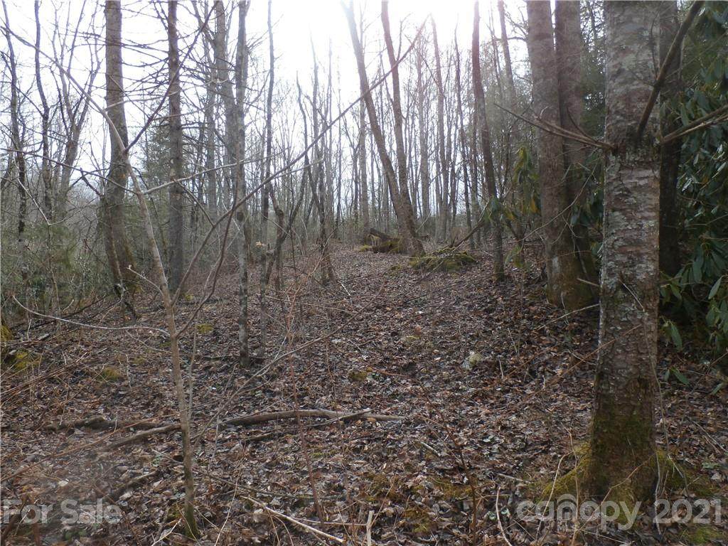 TBD Hwy 226 Highway - Photo 1