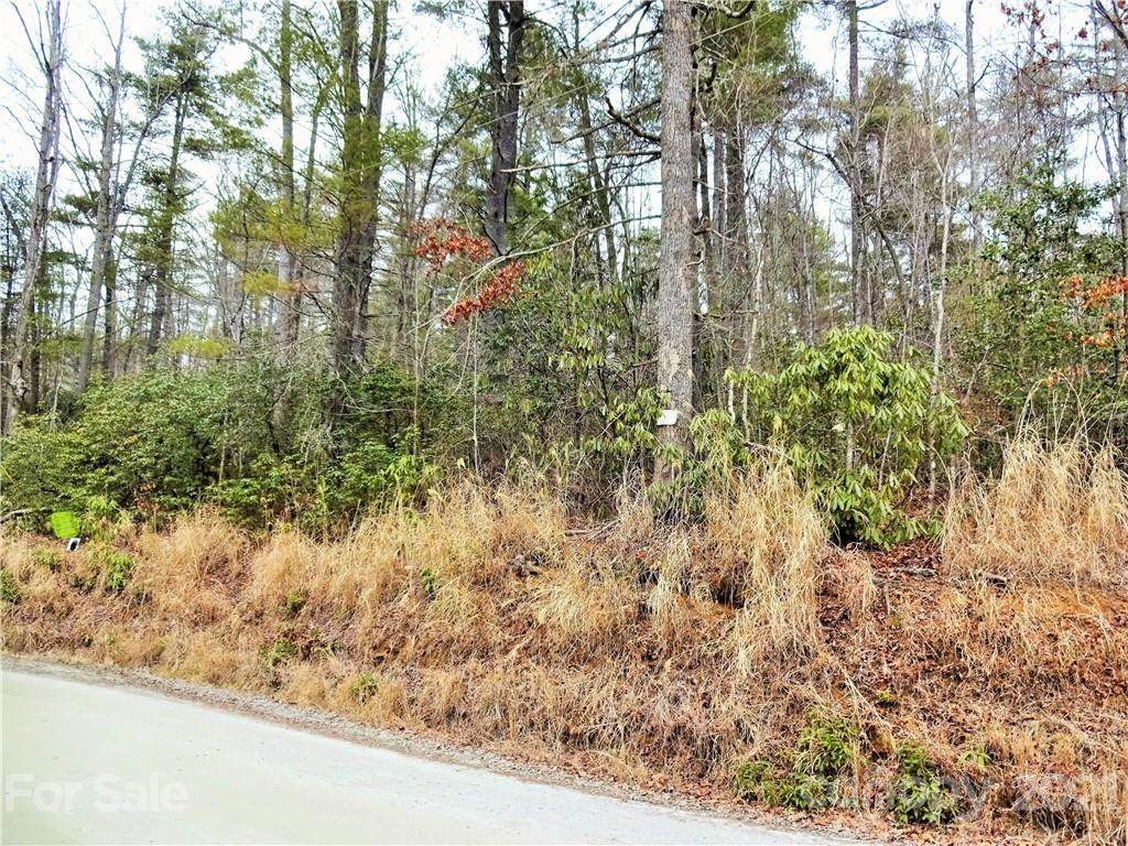 TBD Pleasant Grove Church Road - Photo 1